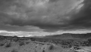 Project Capital Reef Orchard